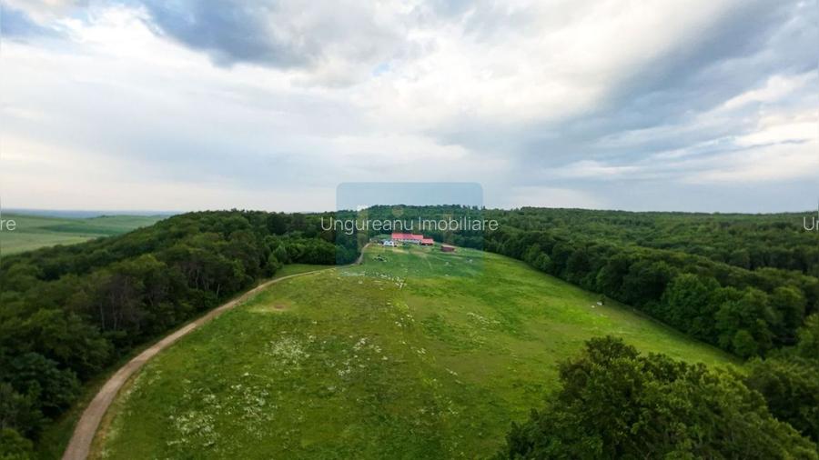 Fermă premium, casa, grajd+anexe Grănicești, 12,98Ha Iacobești Suceava - 21