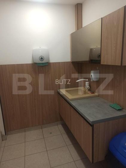 Repozitionare de pret! Proprietate Sangiorgiu 834mp ideal productie sau clinica. - 4