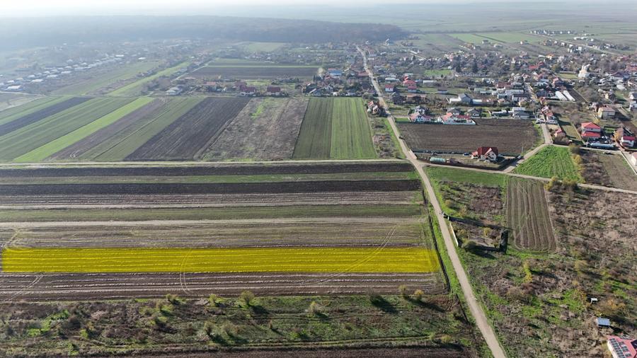 Teren 10.000 mp, parcelabil, ideal ansamblu case P+1 | Gulia - Dambovita