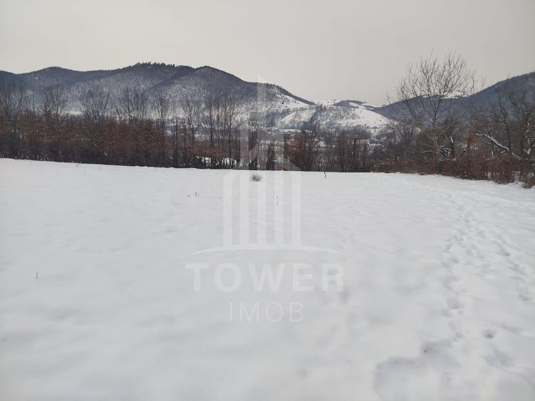 Teren intravilan 2.295 mp, deschidere 60 m – Rășinari, comision 0%