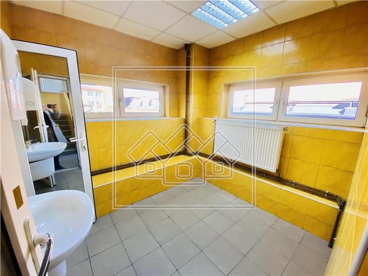Spatiu industrial si de birouri in zona Terezian - finisaje moderne