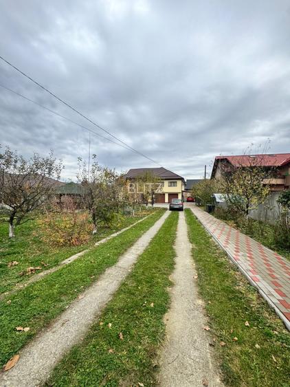 CASĂ DE VIS SAU AFACERE DE SUCCES – BAIA SPRIE - 10