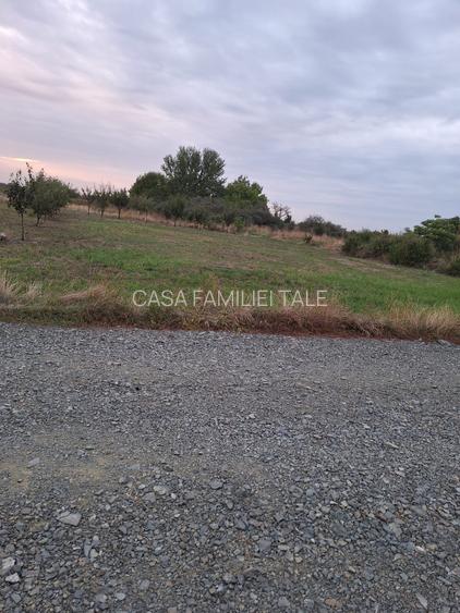 Teren intravilan 608 mp – Dumbrăvița, zona IKEA | toate utilitățile - 2
