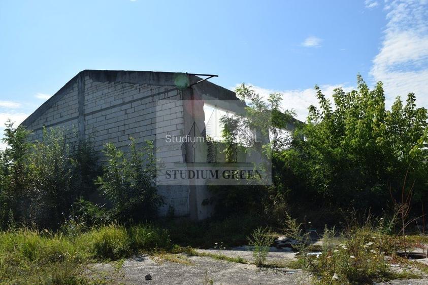 Proprietar vand teren si hale industriale- 51.550 mp • Deta - 4