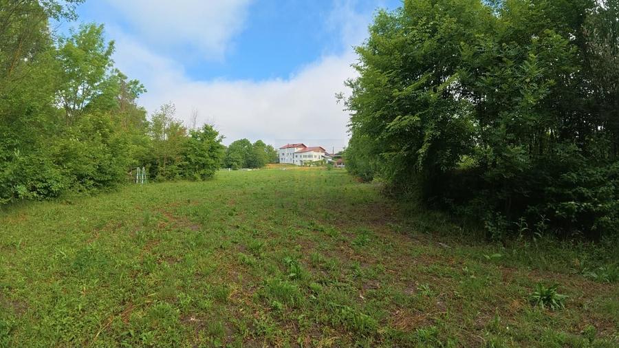 Domeniu de 13.054 mp cu vilă de ~1.000mpc și lac privat Teisori, Bulbucata