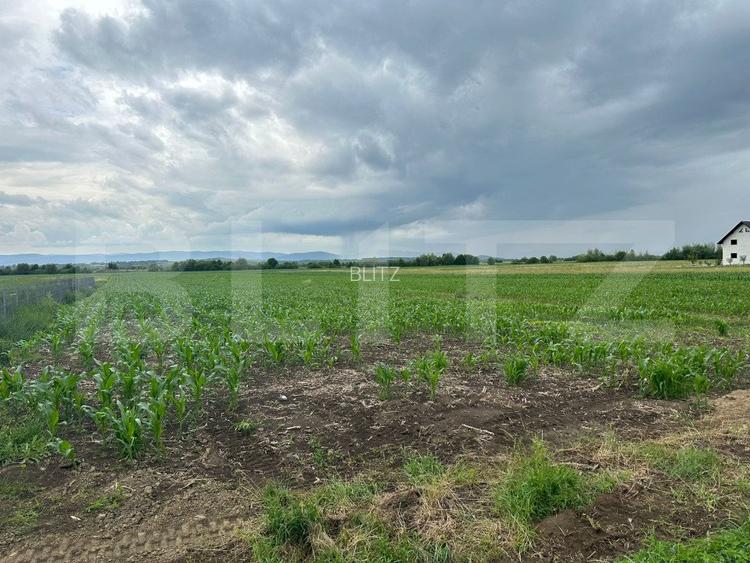 Teren intravilan ,4900 mp , 25ml front, Fratautii Vechi, Radauti - 7