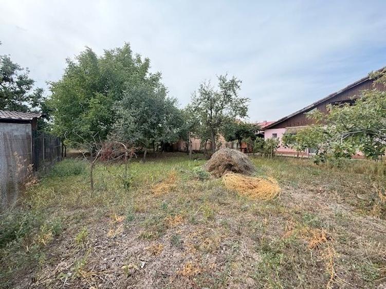 Casă individuală de vânzare, Mircea cel Bătrân, Timișoara