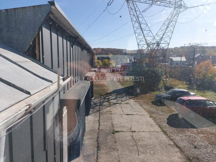 De închiriat: Hale si locuință pe 3 000 mp/ Bascov - Argeș - 4