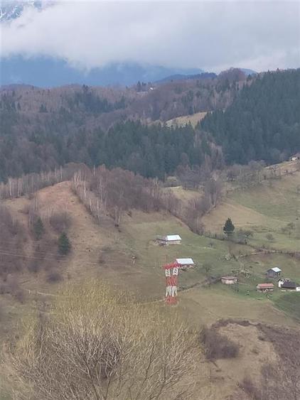 Teren, Zona de Interes Turistic-Cheile Gradistei, 8800mp