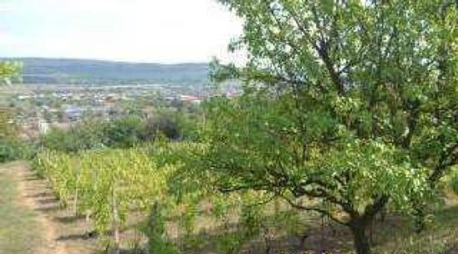 Teren, 3.000 mp ALBA, AIUD
