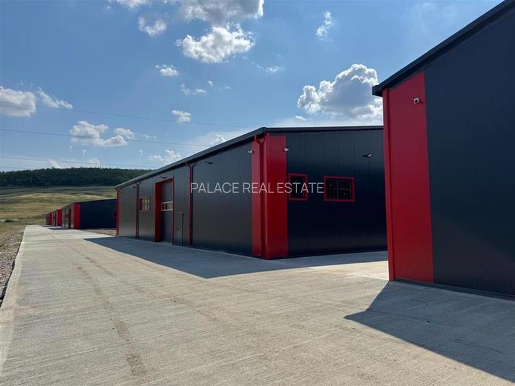 Parc Logistic in Miroslava alcătuit din 5 hale - 17