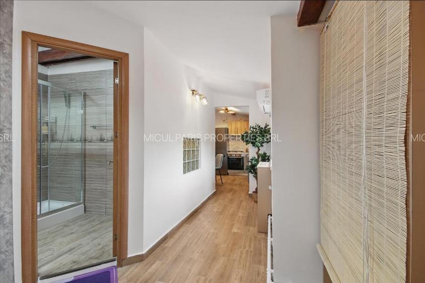 Casa  individuala si afacere la cheie - oportunitate -investiție - 28