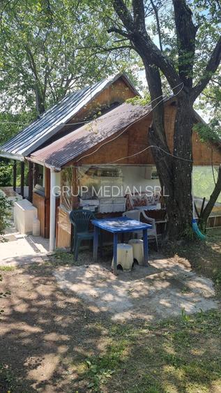 Proprietate de vanzare in Golești - 10800 mp teren și două case - 5
