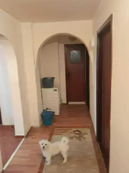 Apartament 4 Camere Otopeni | Ultracentral | Parter | Floare de Cais