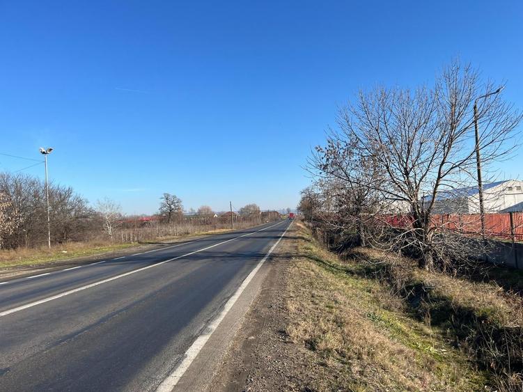 Teren intravilan, Săcădat, 27 921 mp. 9,5 Euro/mp. Comision 0.