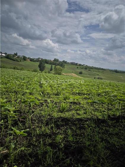 Teren intravilan Moara Nica - zona Scolii - 7