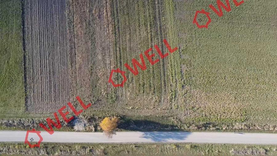 Teren extravilan de vânzare între Valea Crișului și Calnic