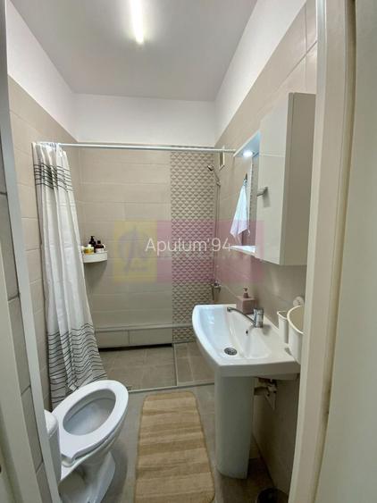 Inchiriere Apartament 2 camere Floreasca-Aviatiei - 10