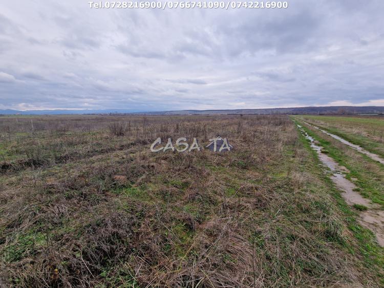 Teren Extravilan (5900 mp),situat in Targu-Jiu, Preajba-Dragoieni