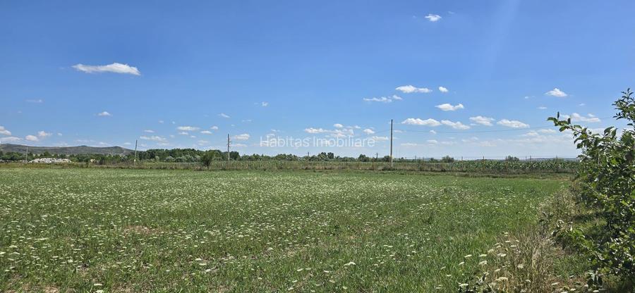 Teren în zona Răscruci – ideal pentru hală, toate utilitățile - 8