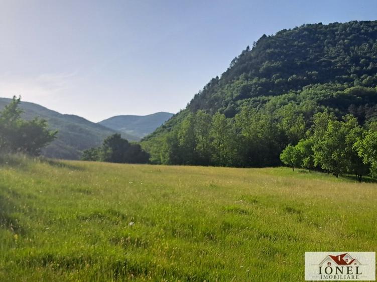 Vanzare casa cu 19.549 mp teren in Vintu de Jos - Valea Vintului