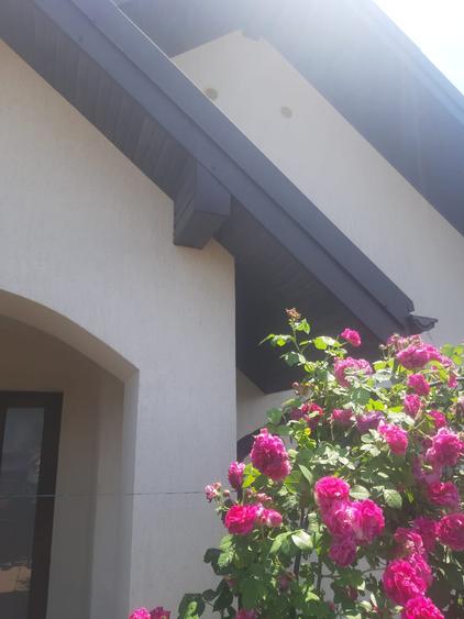 Casa plan parter Breazu cod 162754
