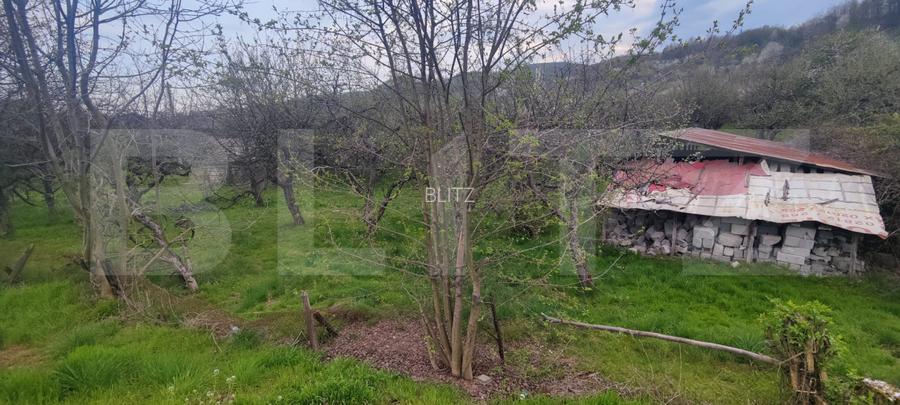 Teren Construibil 2900 mp cu 2 deschideri la asfalt – livadă matură, DN 72A - 5