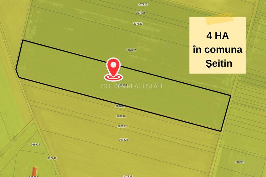 TEREN EXTRAVILAN  in Seitin,  4 hectare de vanzare,  ZERO COMISION - 2