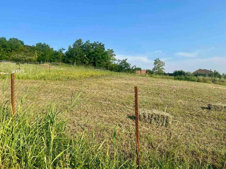 Teren intravilan 1529mp Valea Lupului zona de case la 1,3km de europeana
