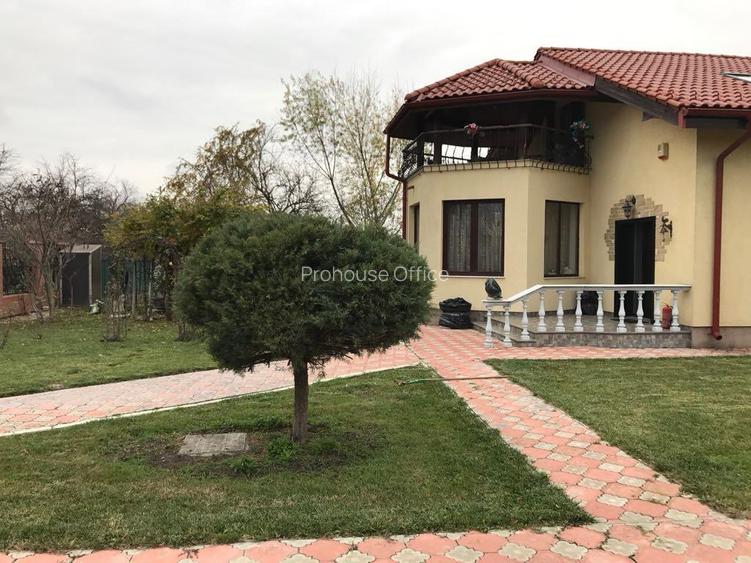 Snagov/Ciofliceni, arta, lemnul și lumina – o vilă care spune o poveste - 12