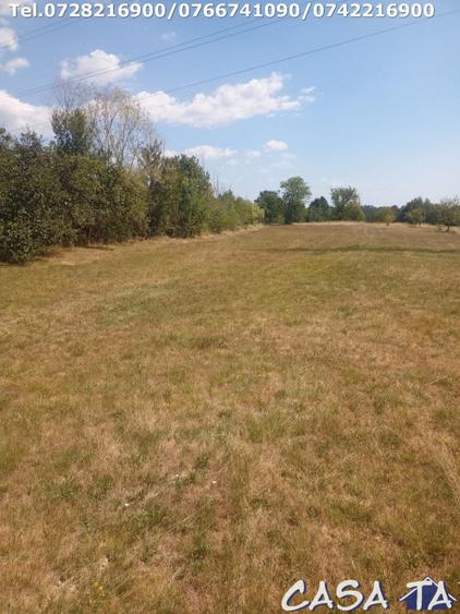 Teren Intravilan, situat in Sat Tismana (zona Gornovita)