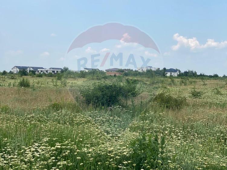 DE VANZARE Teren intravilan 600mp Drumul Piscul Mosului SISESTI