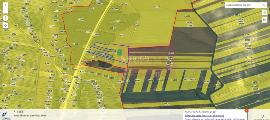 Teren 6,26 ha lângă DEx12 Pitești - 4