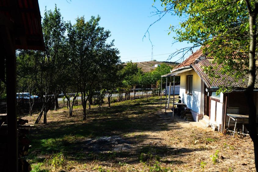Teren Parcelabil I 11400 MP I Corpadea