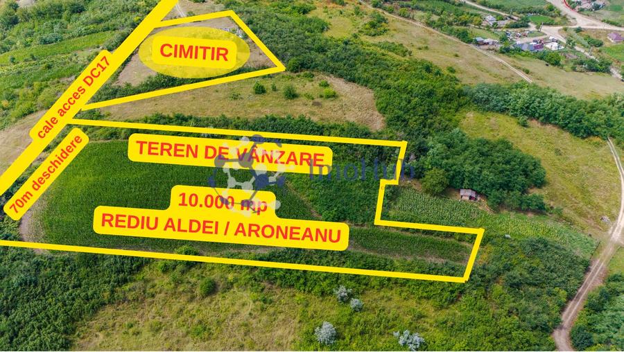 Teren intravilan 10.000 mp în Rediu Aldei (Aroneanu)