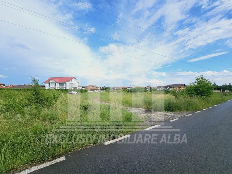 Teren intravilan | De vanzare | 5998 mp | 55 ml deschidere | Cetate