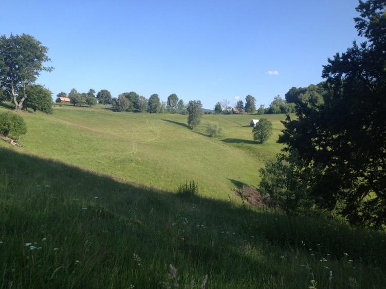 De vanzare teren in zona Crint -Tilisca in golul alpin, direct de la proprietar!