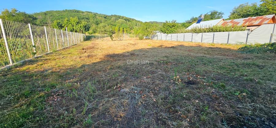 VÂNZARE MOȘIE – Sat Mitrofani, Comuna Mitrofani, jud. Vâlcea - 11