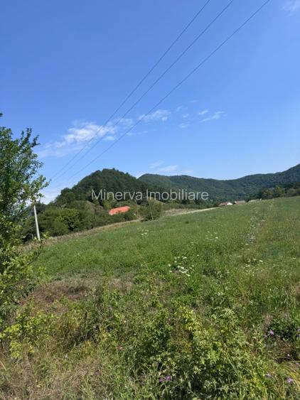 Teren 3600 mp Cheile Nerei – Peisaj de poveste! Oportunitate excelenta! - 3
