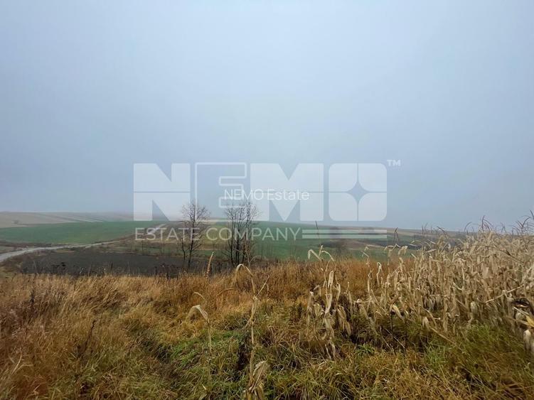 TEREN EXTRAVILAN | DOUA PARCELE 2.84 HA| DARMANESTI - 4