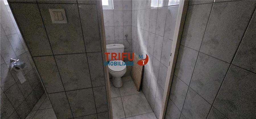 Spațiu Comercial Central Disponibil pentru Închiriere în Alba Iul