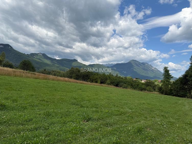Teren intravilan  1000 mp zona Bran-Tohanita,langa padurela 10 km de Rasnov - 14