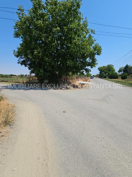Teren 5.465 mp intravilan și front stradal – Topraisar, Constanța Comision Zero - 13