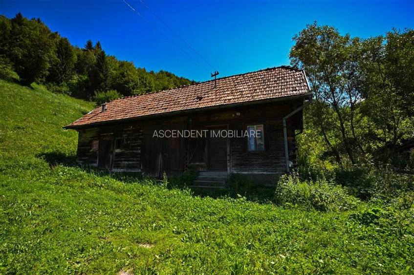 FILM! Proprietate autentica, Bran-Simon, 4.300 mp teren, casa traditionala + ane - 42
