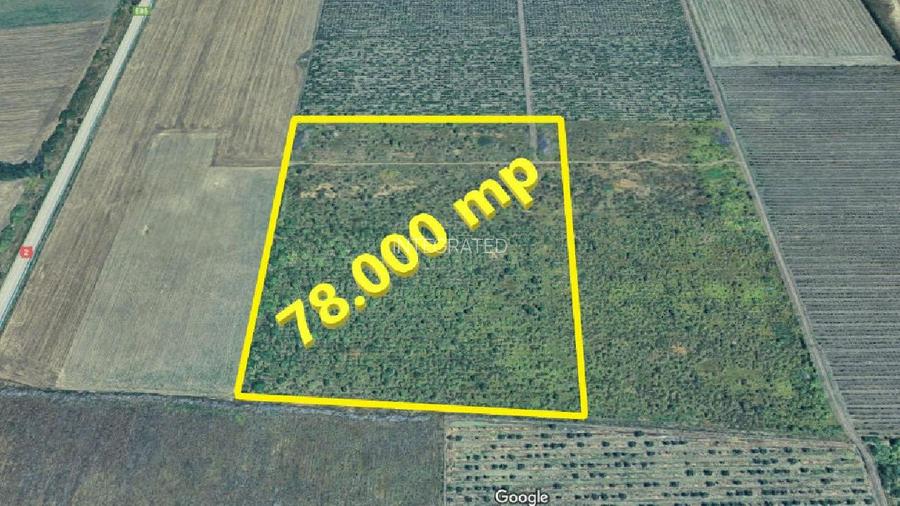 Teren Extravilan 78.000 mp Centura Noua FOCSANI - 3