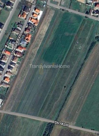 TEREN 2.300 MP – ZONĂ DE CASE, LINIȘTITĂ ȘI ÎN DEZVOLTARE - 2