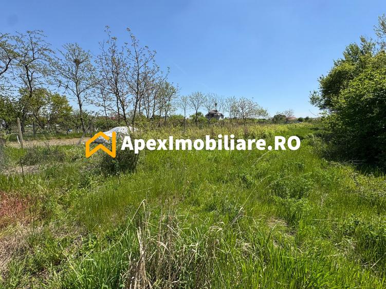 Teren intravilan de vanzare Cornetu IF | ApexImobiliare.ro