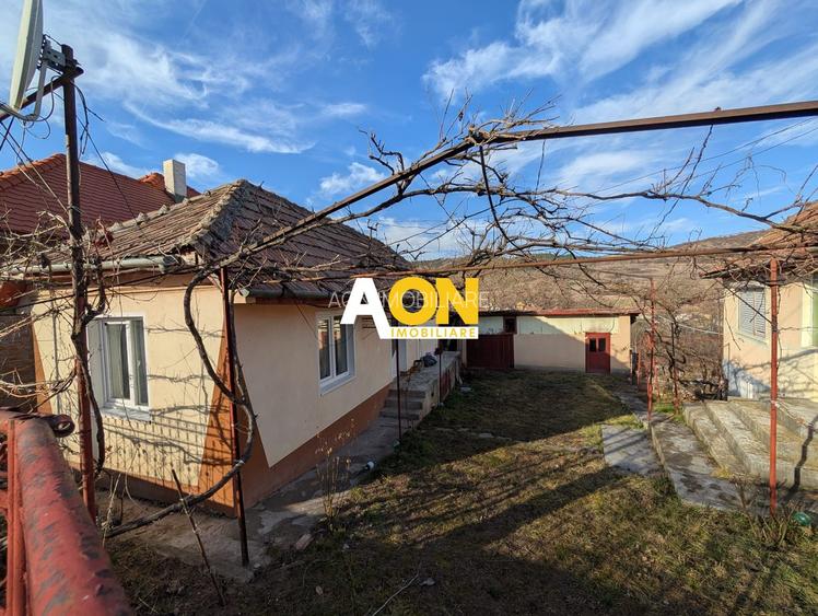 Casa cu 2 corpuri de cladire zona Hapria, 960mp Teren - 13
