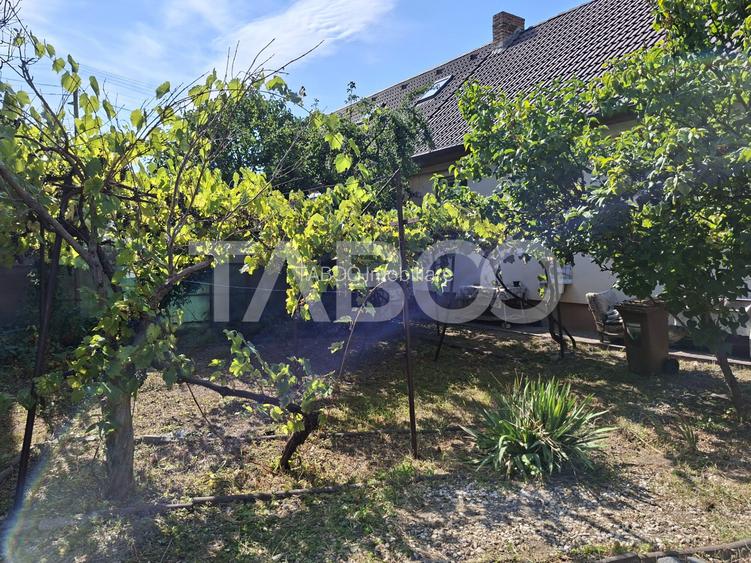 Casa cu 2 camere decomandate 335 mp teren in zona Parcul Tineretului - 8