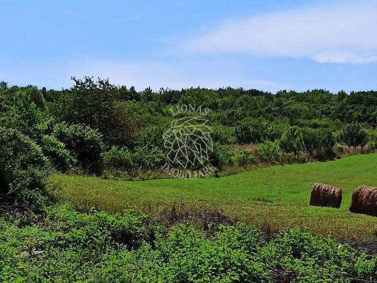 Parcele teren 4038 mp - Parcelabil - Zona Valea Stanelor
